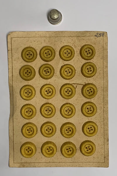 Cartón 24 botones vintage color amarillo mostaza