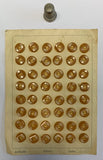 Cartón 48 botones vintage color camel y base transparente