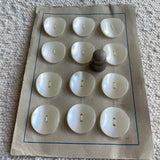 Cartón de botones antiguos color blanco