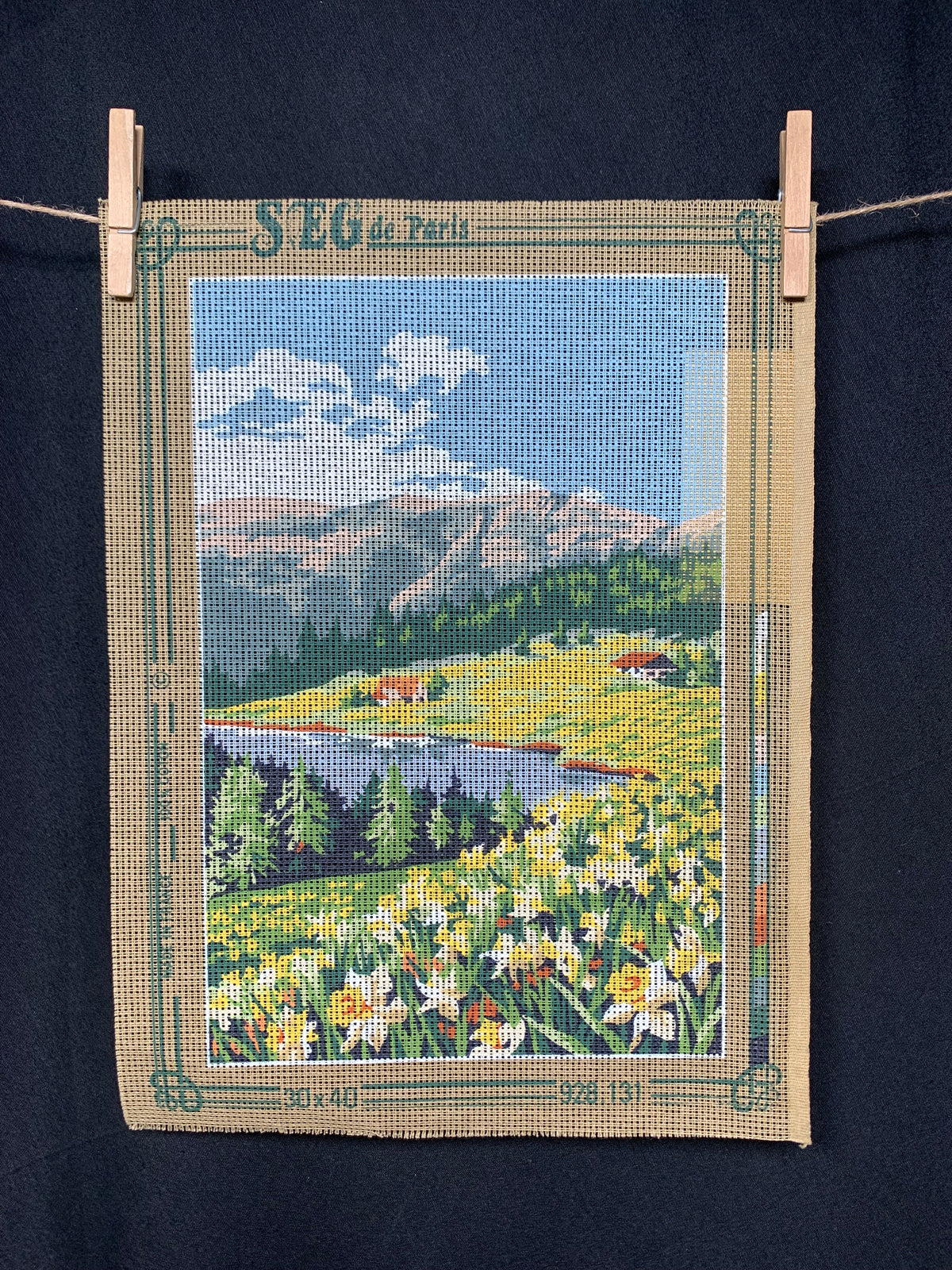 Petit point: "Paisaje de montaña" SEG - CON HILOS