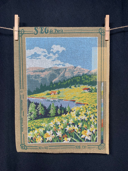 Petit point: "Paisaje de montaña" SEG - CON HILOS