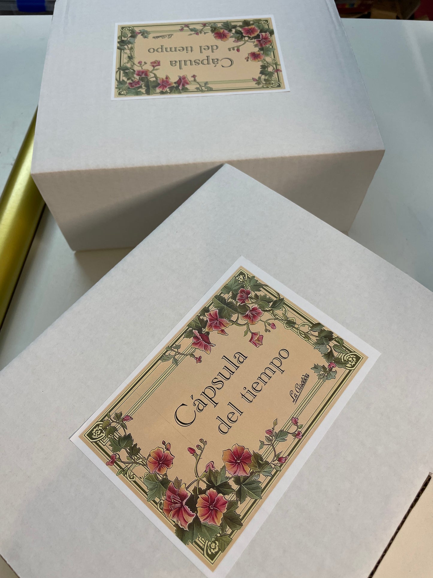 Cápsula del tiempo LA CRISÁLIDA