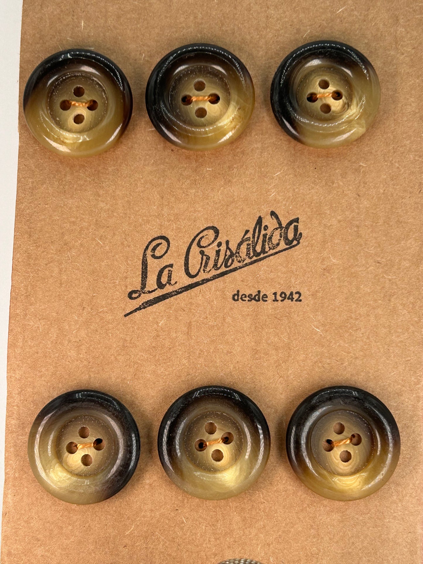 Cartón con 6 botones vintage de pasta en tonos marrones. Edición especial 84 aniversario La Crisálida