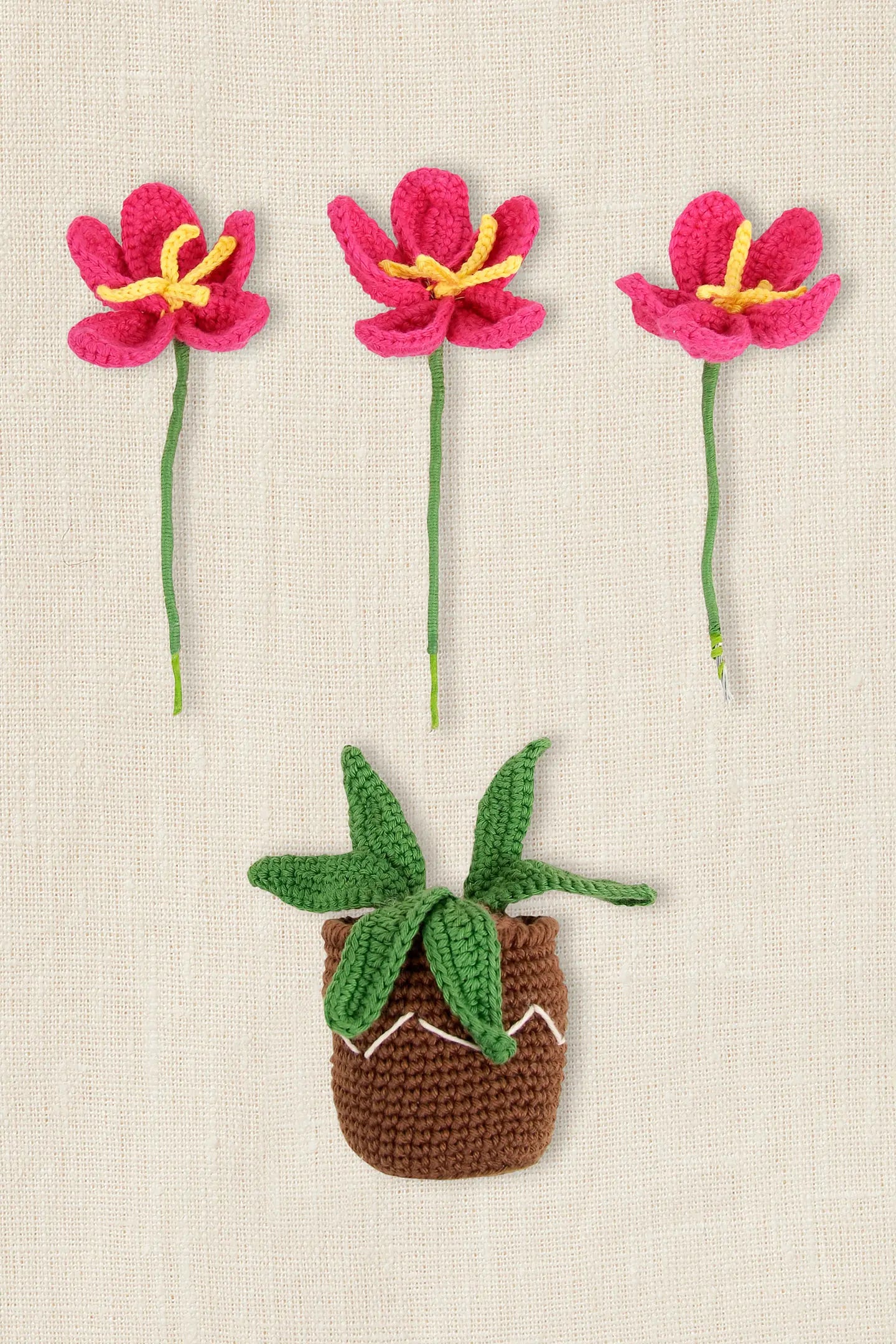 Kit amigurumi "Tiesto de flores" By Nuria Picos