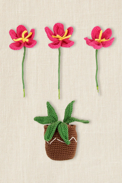 Kit amigurumi "Tiesto de flores" By Nuria Picos