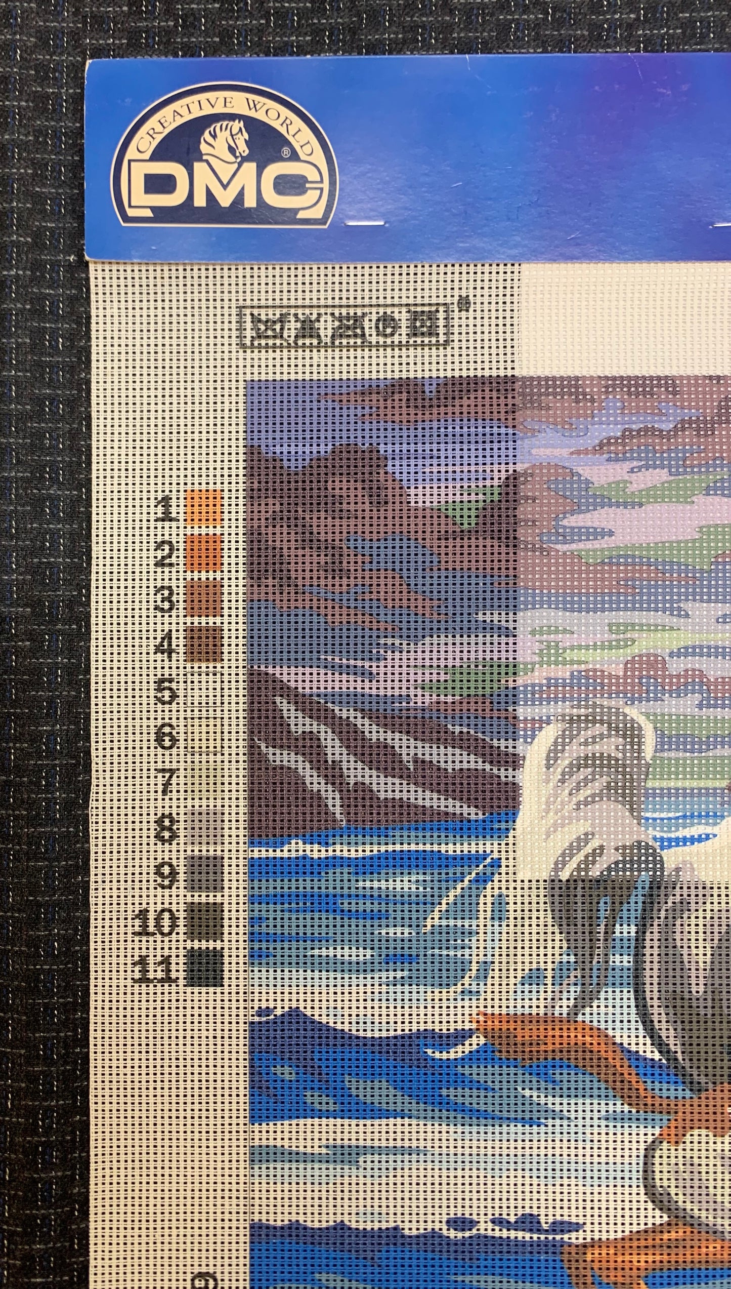 Petit point: "Chevaux au crépuscule" DMC - CON HILOS