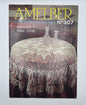 Revista "AMELBER" Nº 307 / Ediciones REALCE
